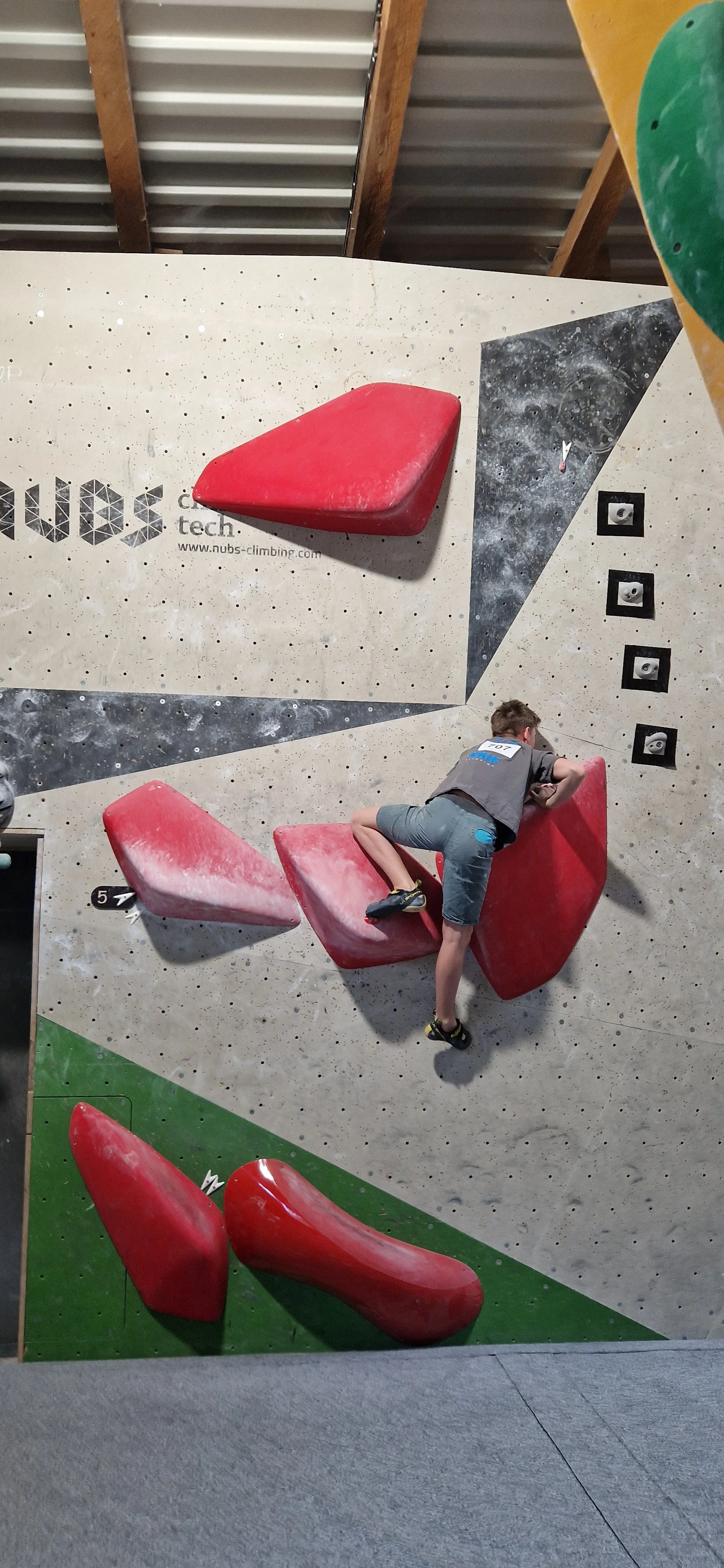 Zahodna liga Verd_Grif_4.jpg