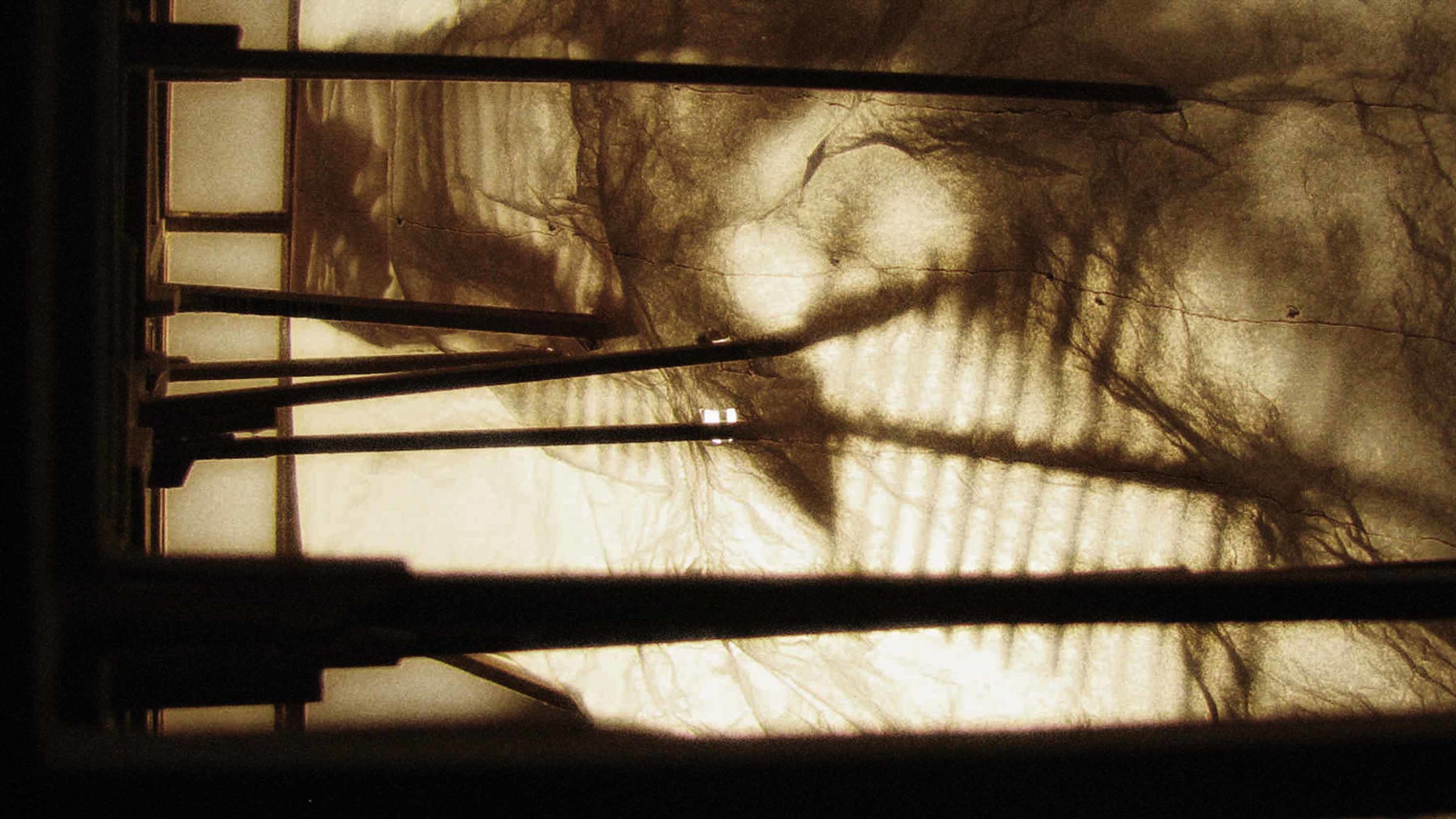 light box.jpg