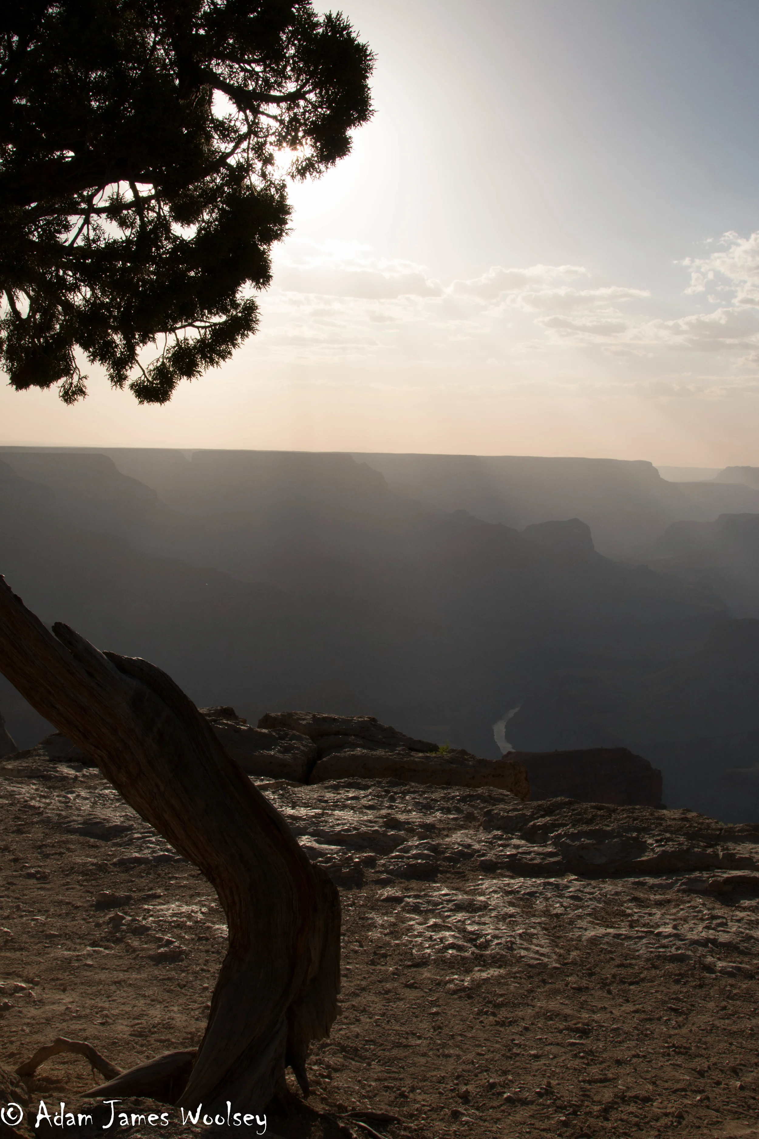 woolsey_grandcanyon.jpg