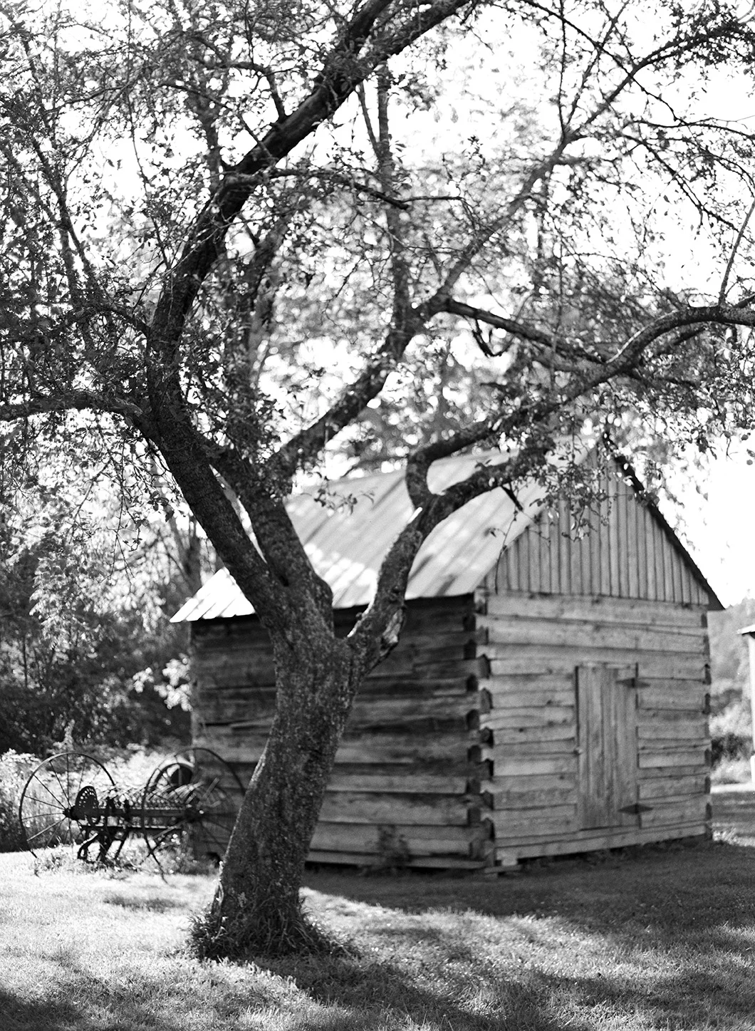 DianaElizabethPhotography_K&DEngaged020.jpg