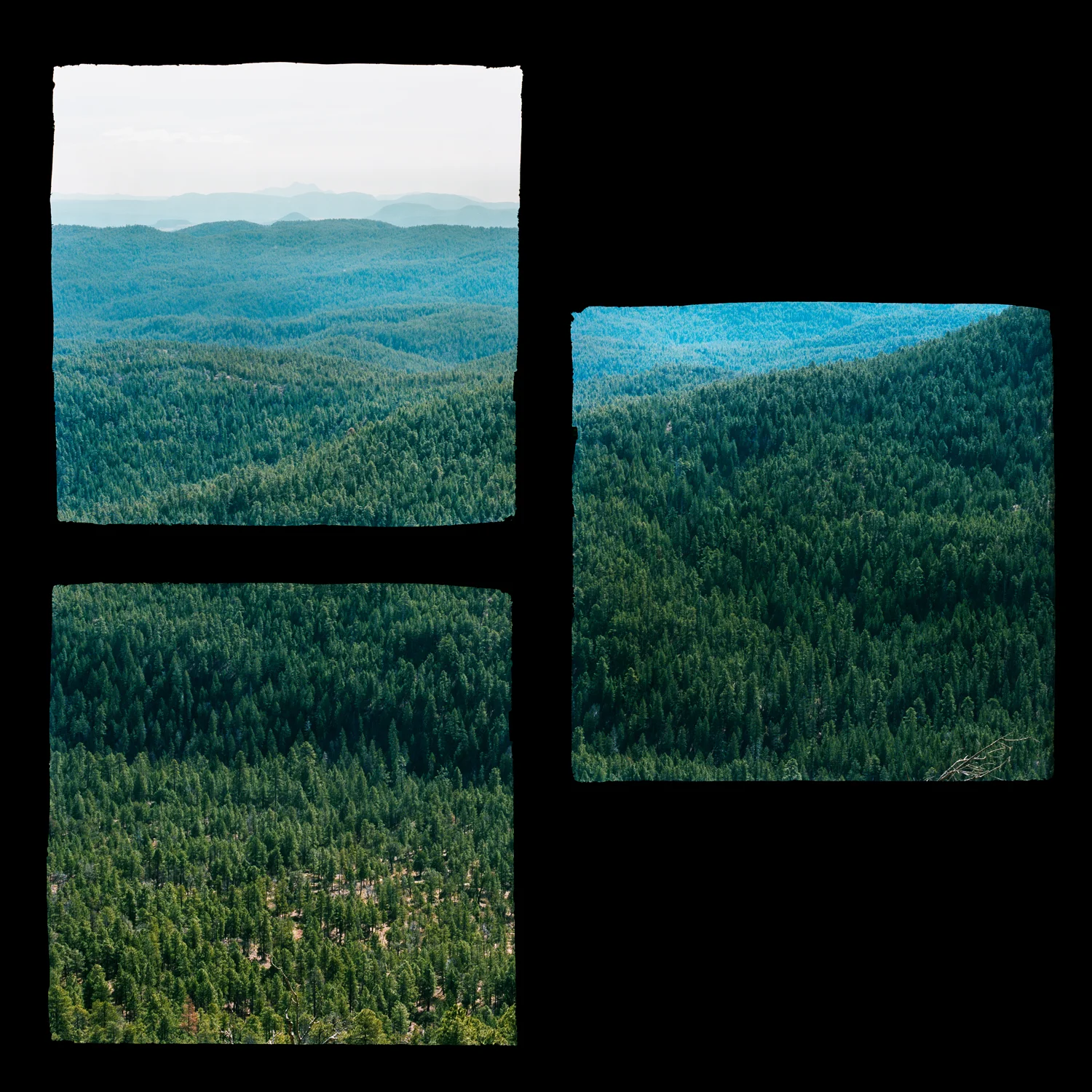 Fragmented Landscape #2