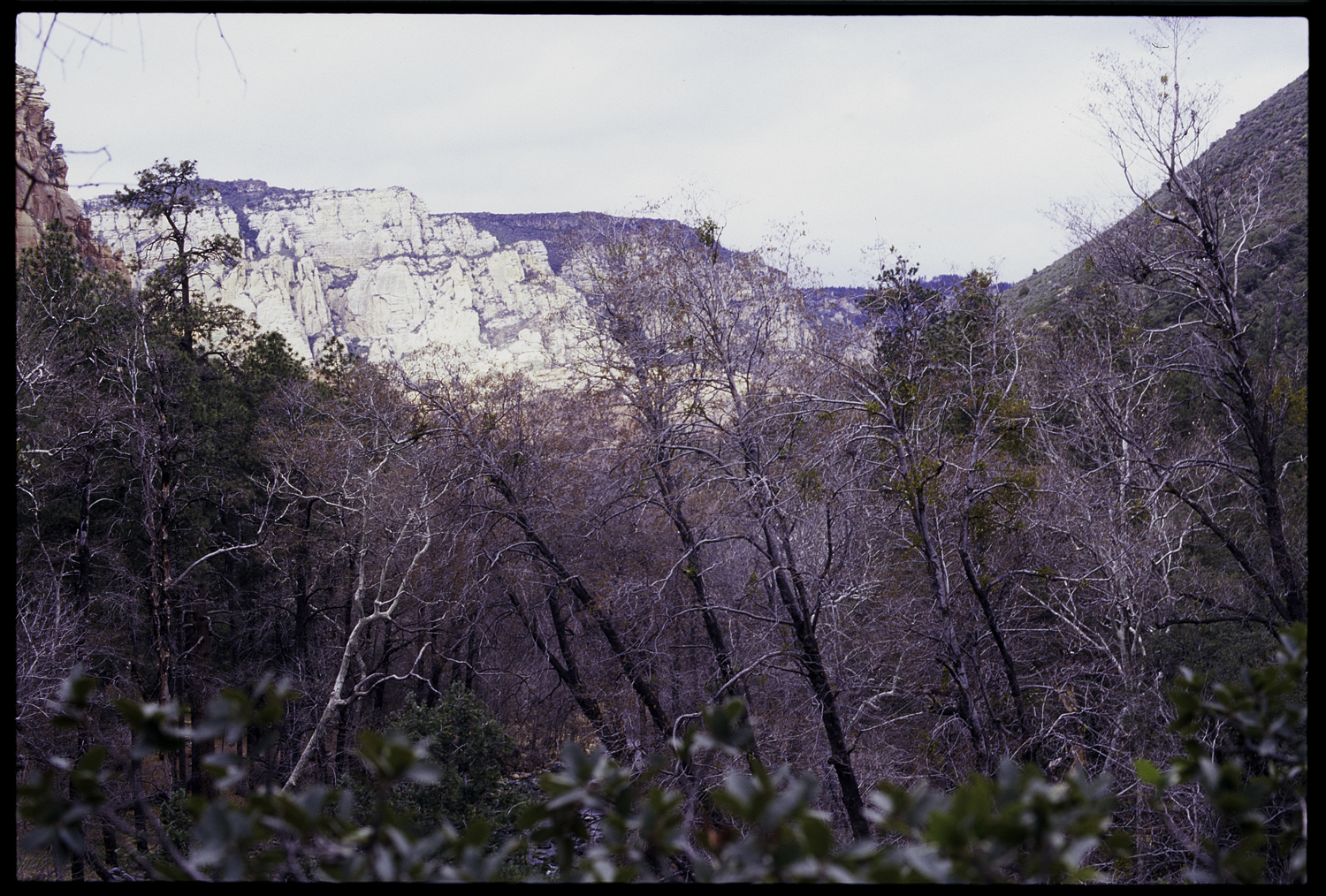 Sedona-Mountain-03.jpg