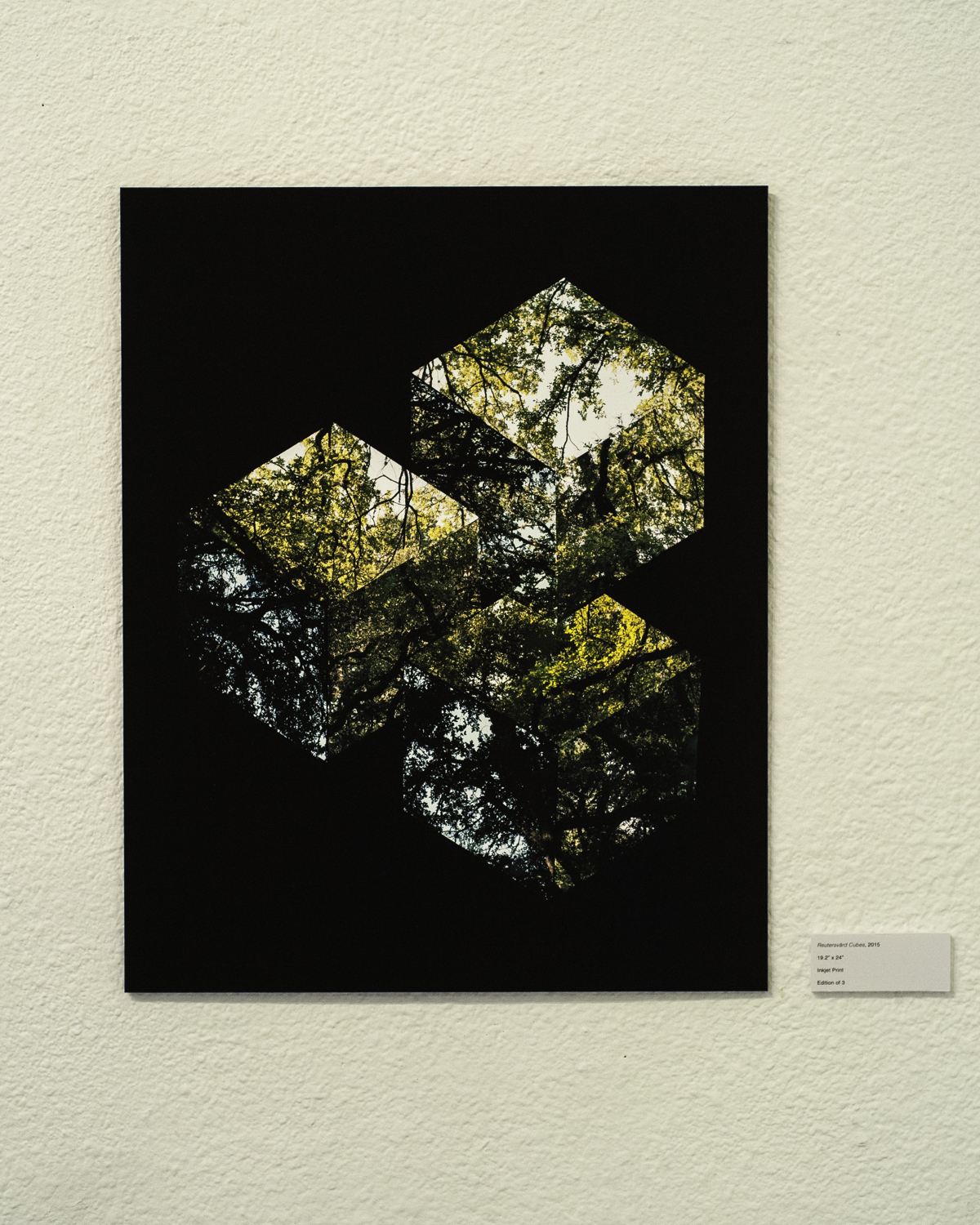   Reutersvärd Cubes , 2015  Digital Inkjet Print  19.2”x24” 