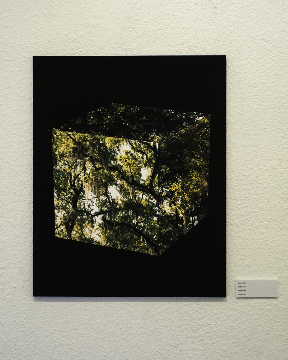   Cube , 2015  Digital Inkjet Print  19.2”x24” 