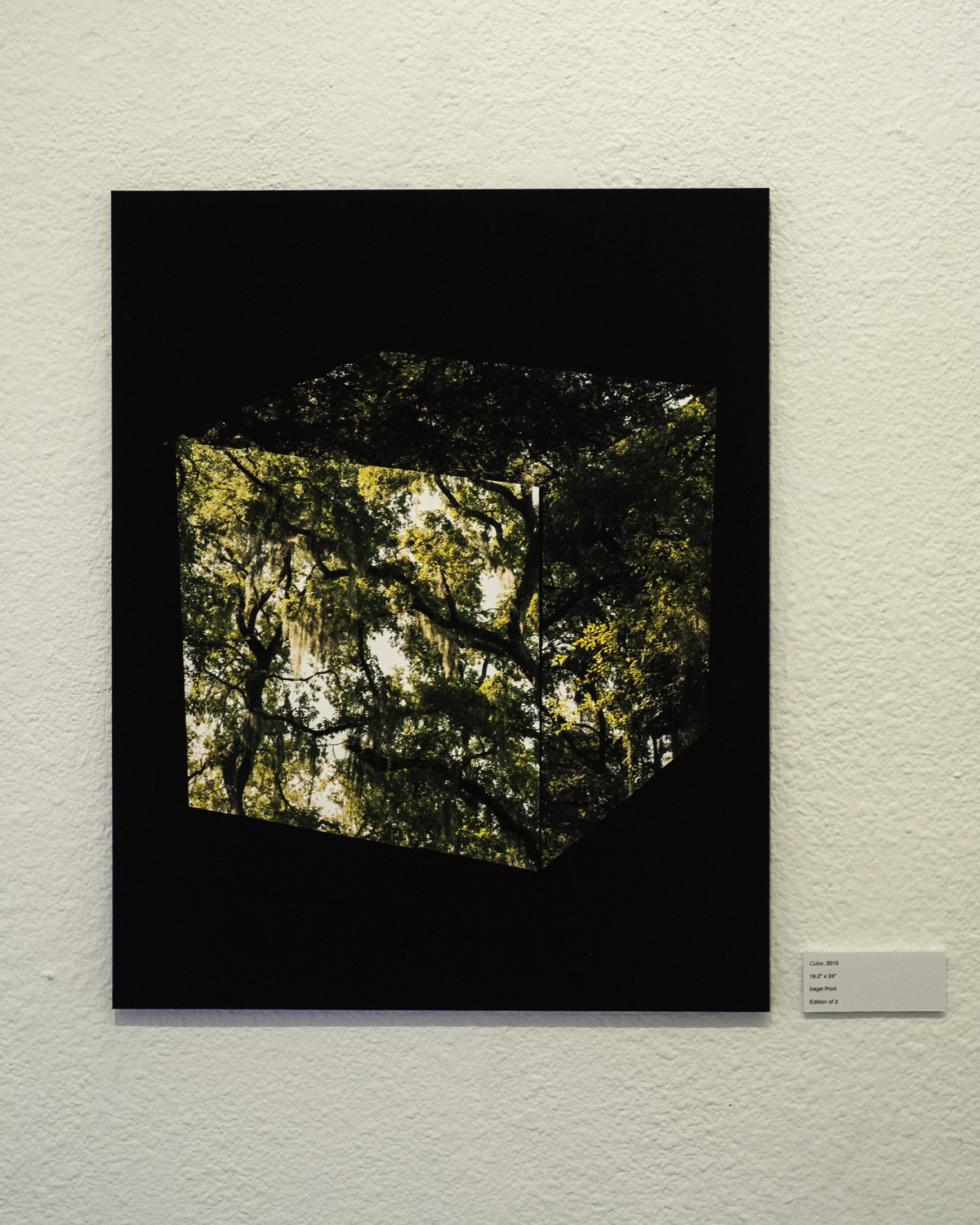 Cube , 2015 Digital Inkjet Print 19.2”x24”