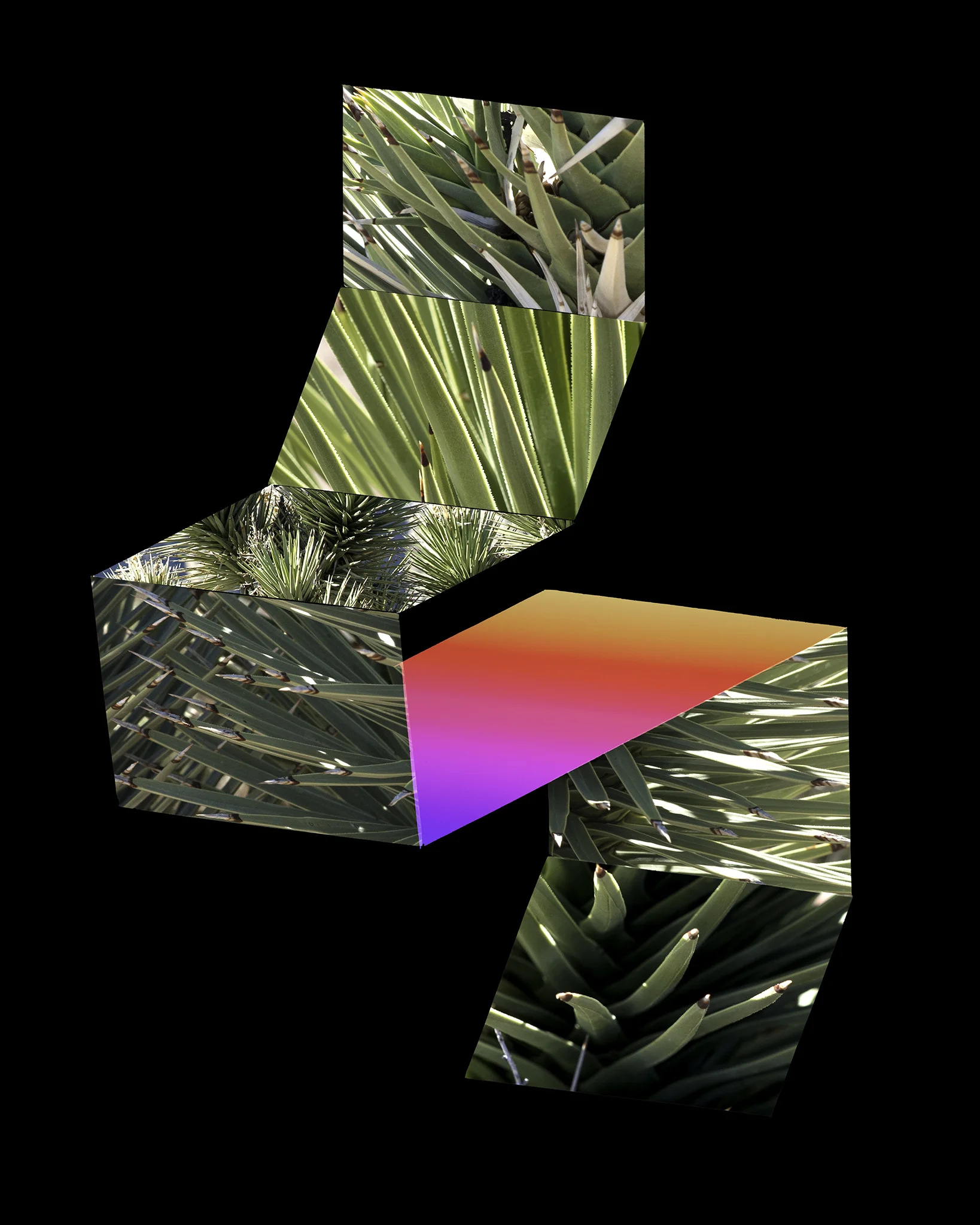 Digital Plane Construction No. 3 (Joshua Tree), 2016