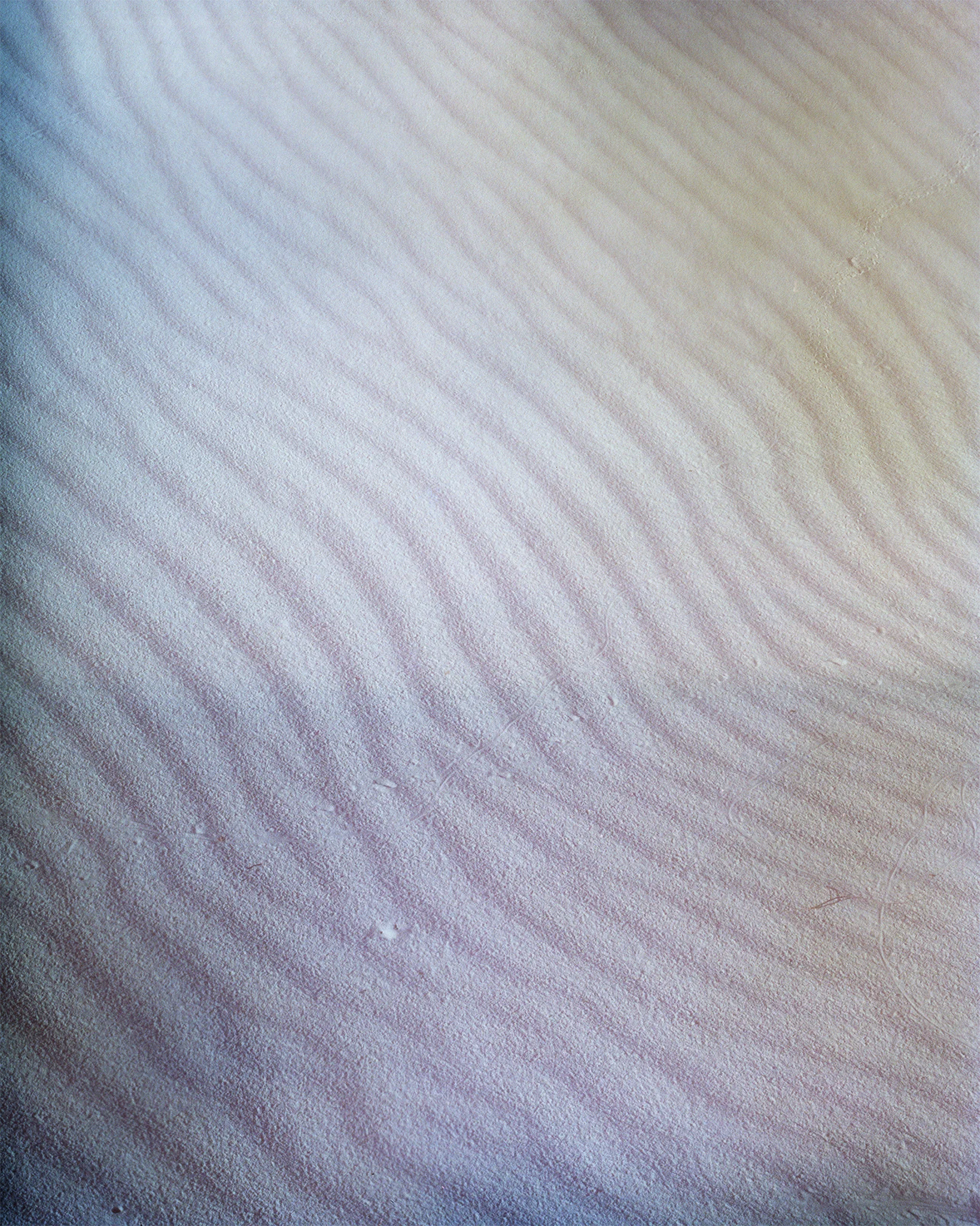 Gypsum , 2017