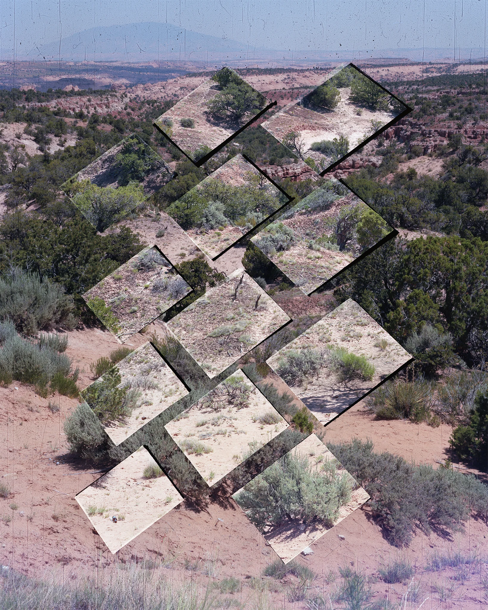 Analog Matte #031 (Kaibito) , 2017