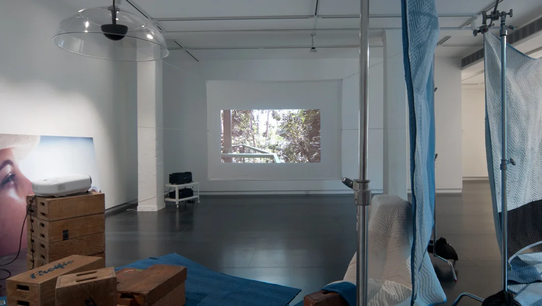 Based on, If Any , 2013 (installation view) digital HD video, edition of 5 total run time 17:43