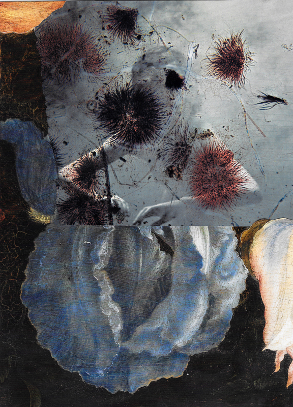 Untitled , 2014 collage, archival ink, paper 11.5 x 8 inches