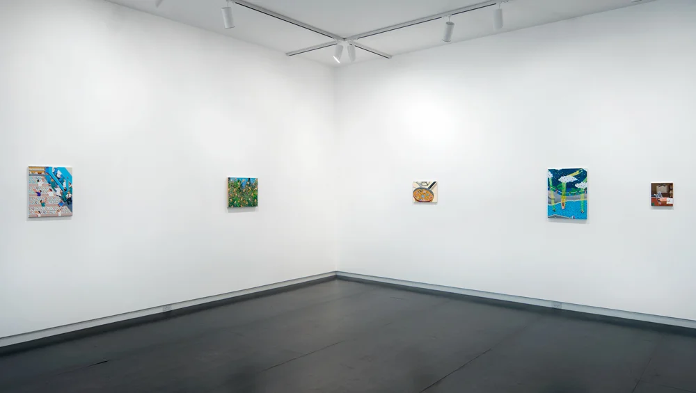 Critter-install-2.jpg