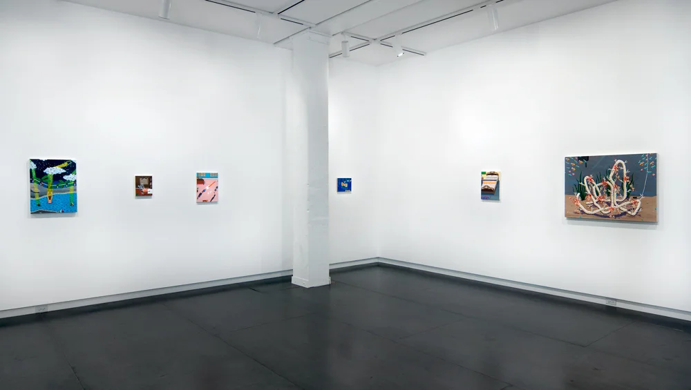 Critter-install-4.jpg