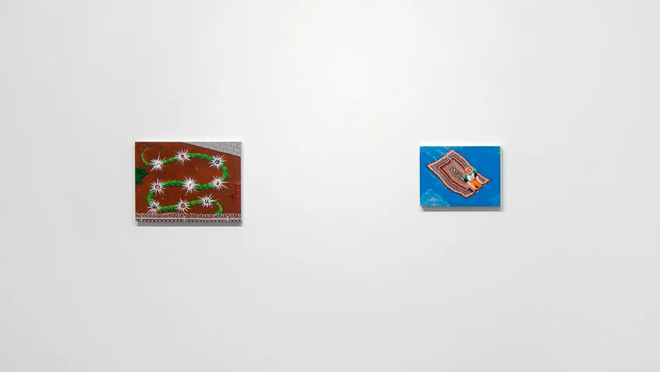 Critter-install-6.jpg