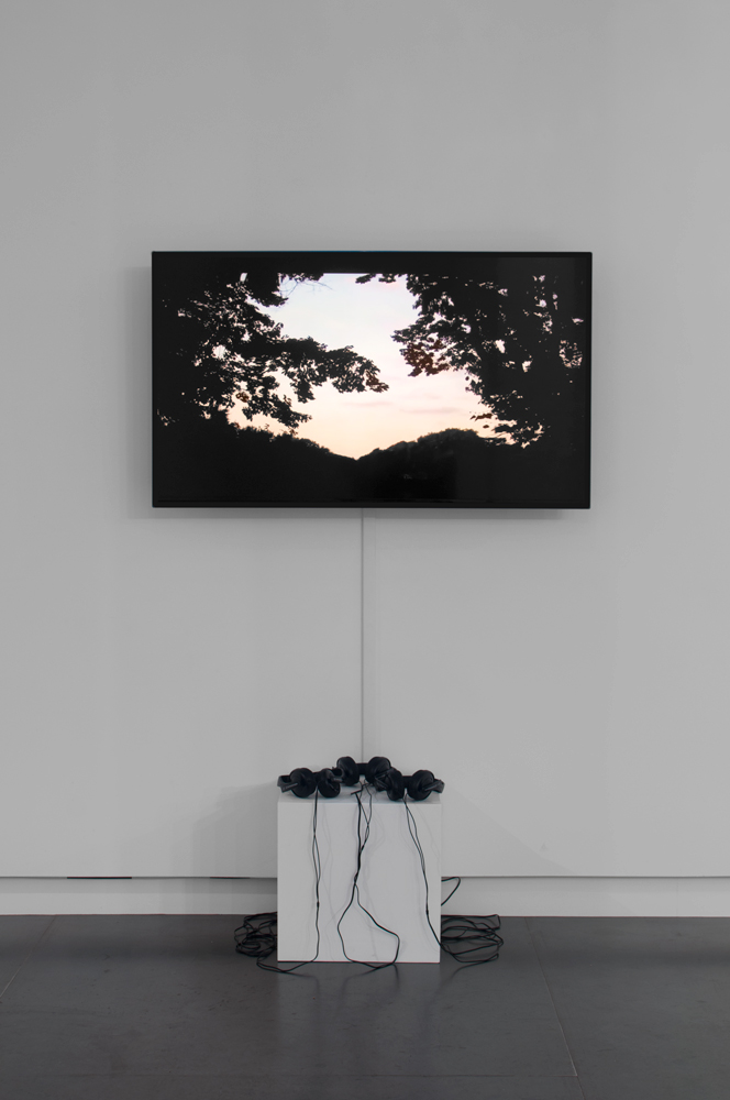  Brenna Murphy  Fernface Algorithm , 2014 (installation view) digital video, total run time 0:01:31 