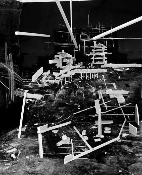 Hedonic Reversal No. 3 , 2014 archival pigment print mounted to Dibond 55 inches x 45 inches, edition of 3 plus 1 AP