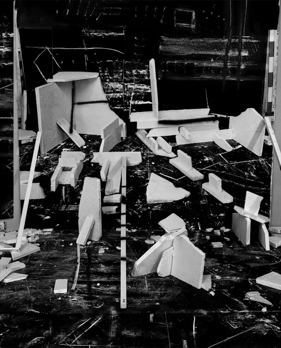 Hedonic Reversal No. 12 , 2014 archival pigment print mounted to Dibond 55 inches x 45 inches, edition of 3 plus 1 AP