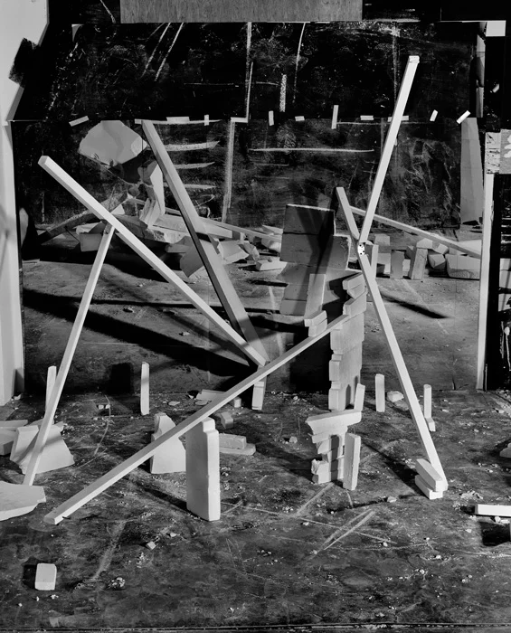 Hedonic Reversal No. 10 , 2014 archival pigment print mounted to Dibond 55 inches x 45 inches, edition of 3 plus 1 AP