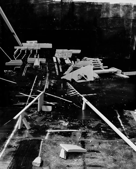 Hedonic Reversal No. 14 , 2014 archival pigment print mounted to Dibond 55 inches x 45 inches, edition of 3 plus 1 AP