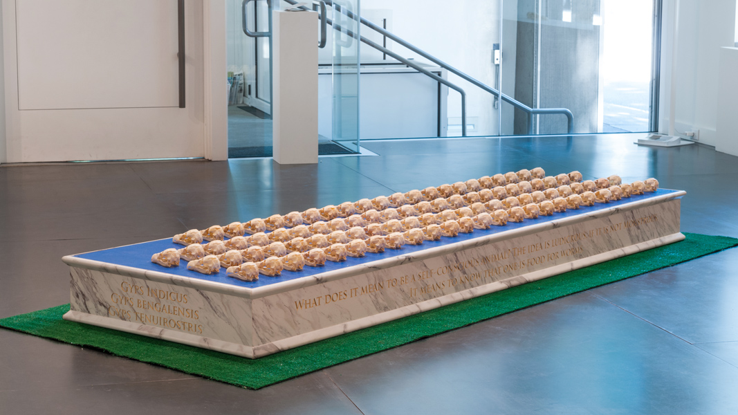Be Merry, 2016 Formica marble, blue tarp, 97 ABS vulture skulls, artificial grass 114 x 46 x 10 inches (approximately)