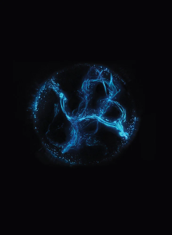 Blue Nocturne , 2016 digital print on low iron glass 23.4 x 16.5 inches edition of 5