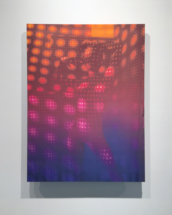   OpticNude.01 , 2016 50 mm taffeta silk with dye transfer of 3D rendering 46 x 36 inches, edition of 3 + 1 AP 