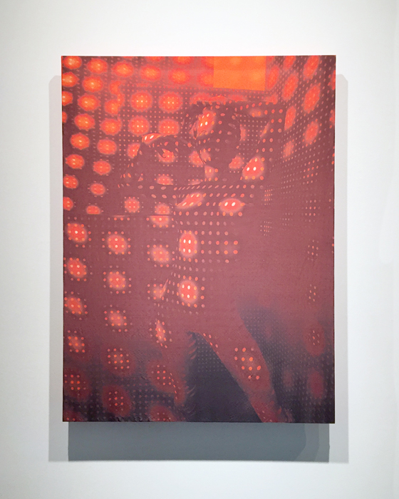   OpticNude.02 , 2016 50 mm taffeta silk with dye transfer of 3D rendering 46 x 36 inches, edition of 3 + 1 AP 