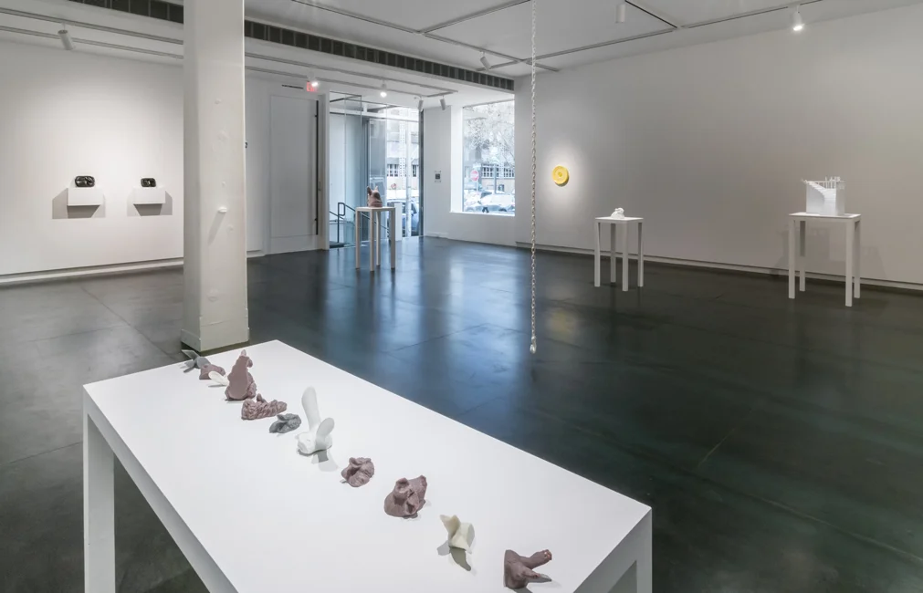 SchweglerH-ExtinctionAnxiety_install13-1011x650.jpg