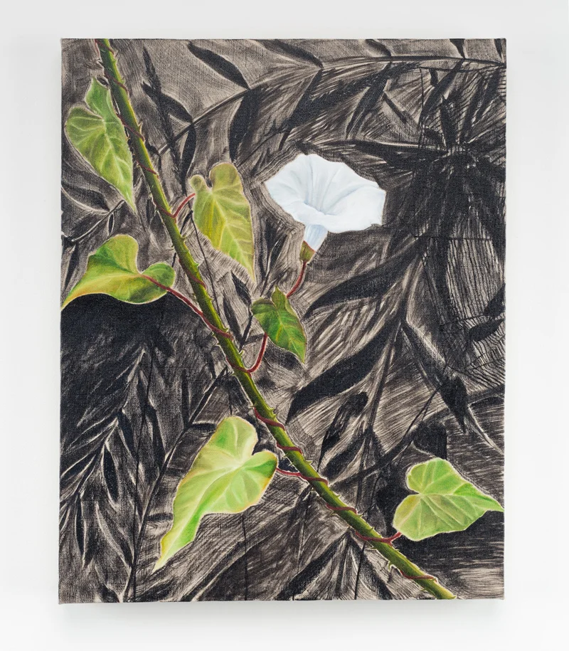 Morning Glory , 2017 oil on linen 20 x 16 inches