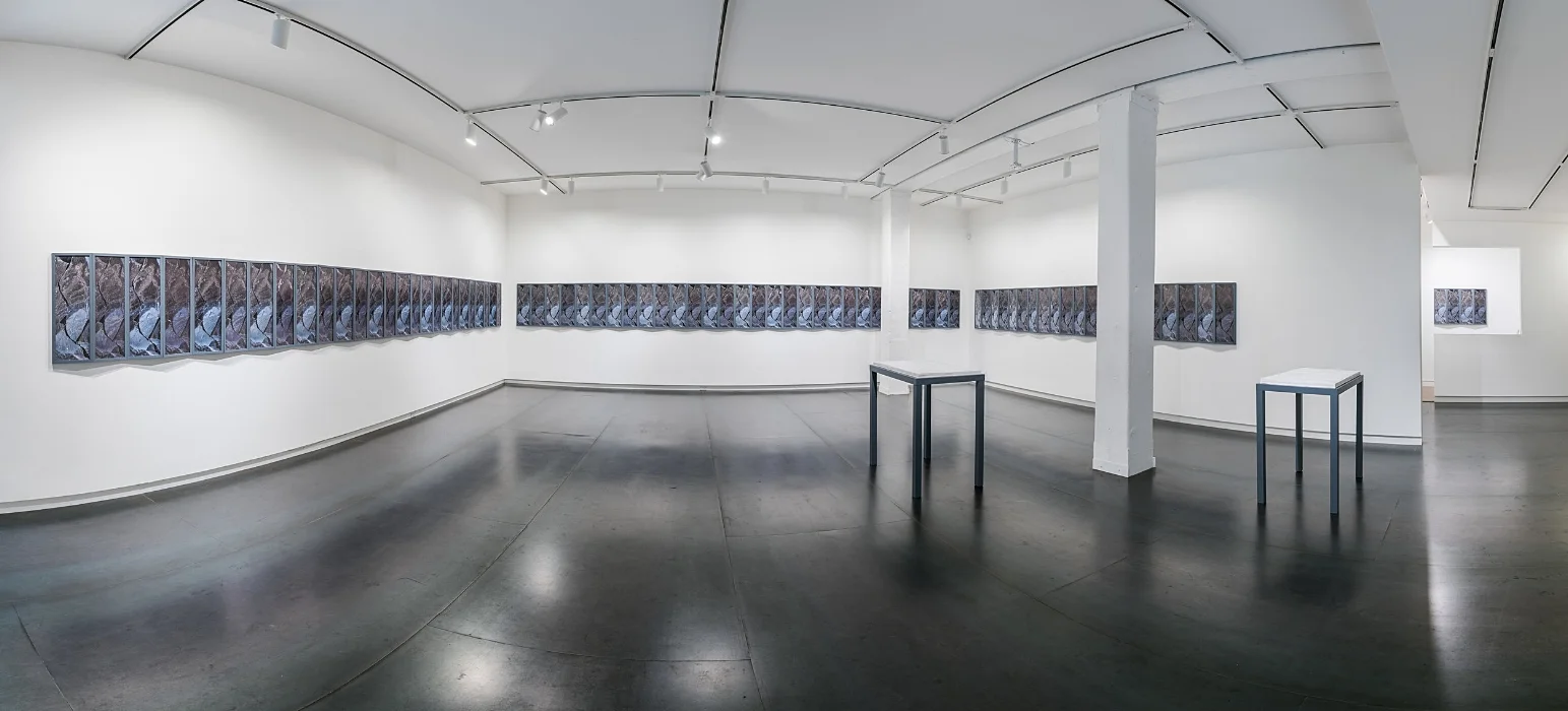 The Story is Not the Story by Ben Buswell on view at Upfor, October 19–December 2, 2017. Photo by Mario Gallucci.