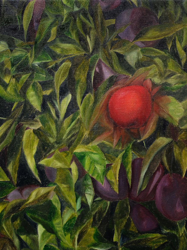   Apple , 2018 oil paint on linen 16 x 12 inches 