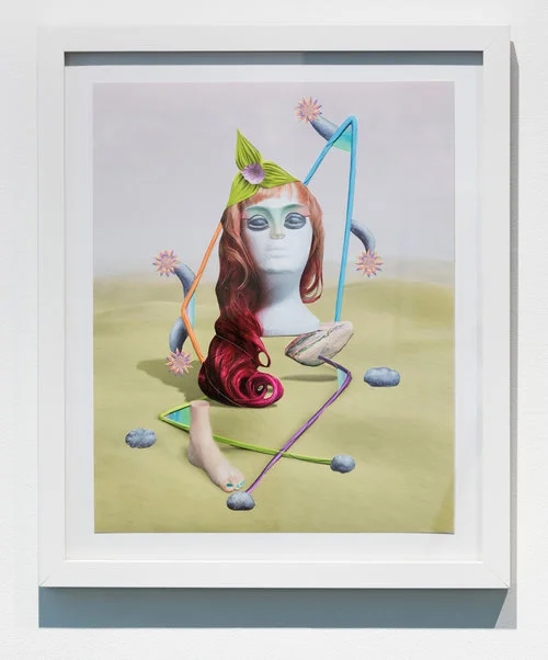 Cow Face (Pose 3) , 2017 photo collage, paint, collage paper 23 x 19 inches (framed)