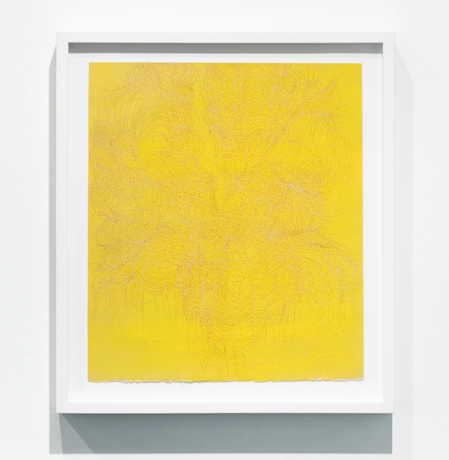 Laura Vandenburgh