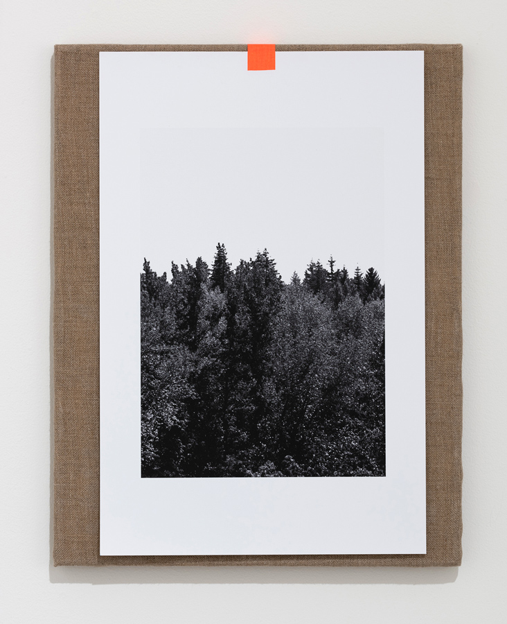   Forest | Reforest , 2018 linen, archival pigment print, tape 17.75 x 14.125 inches (45 x 36 cm) 