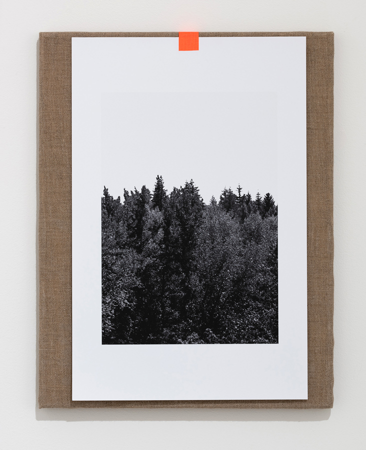 Forest | Reforest , 2018 linen, archival pigment print, tape 17.75 x 14.125 inches (45 x 36 cm)
