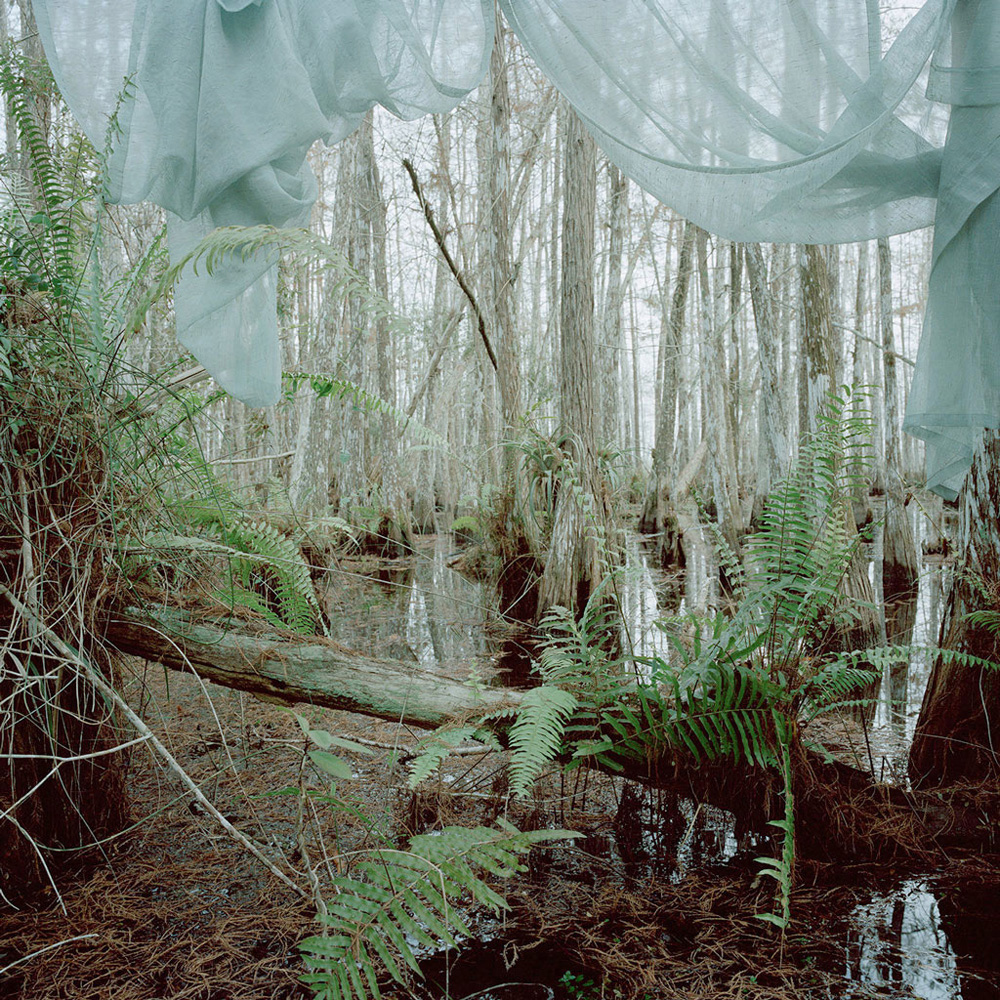Untitled #3 (Marjory’s World) , 2012 archival pigment print 40 x 40 inches, edition of 5 + 2 AP 30 x 30 inches, edition of 5 + 2 AP