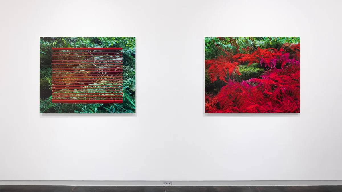 Sun Breathing #1 and Sun Breathing #2 each: 2018, archival pigment print 40 x 50 inches, edition of 5