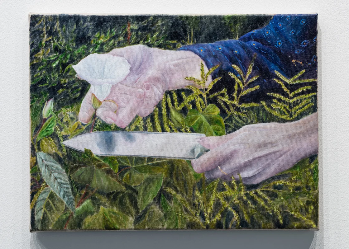 Morning Glory , 2018 oil paint on linen, 12 x 16 inches private collection
