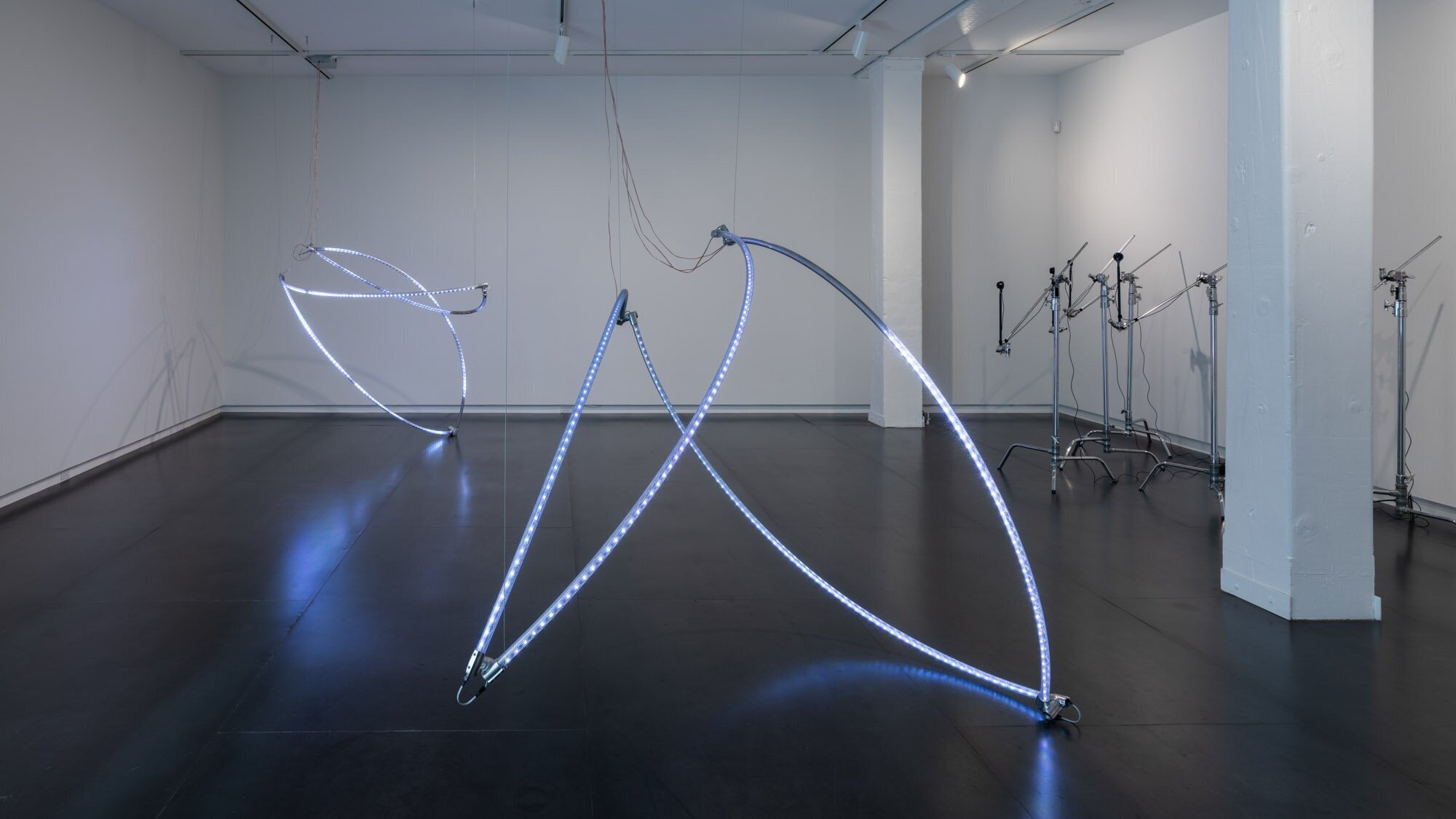   Frequencies of Opacity  by Danielle Roney on view March 5 – April 18, 2020 photo by Mario Gallucci 