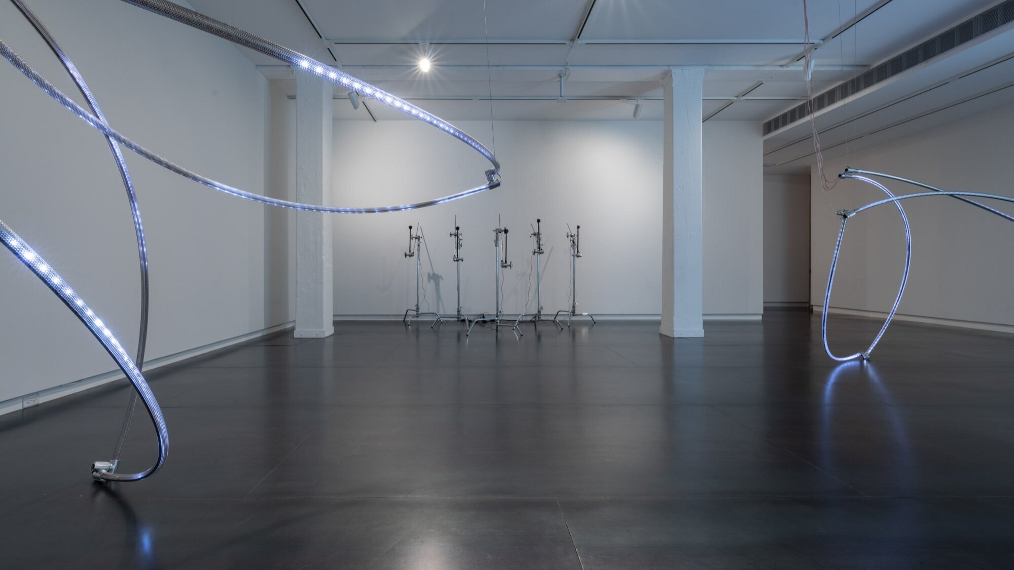   Frequencies of Opacity  by Danielle Roney on view March 5 – April 18, 2020 photo by Mario Gallucci 