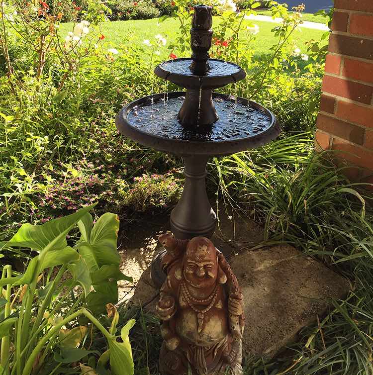 Buddha and the water feature