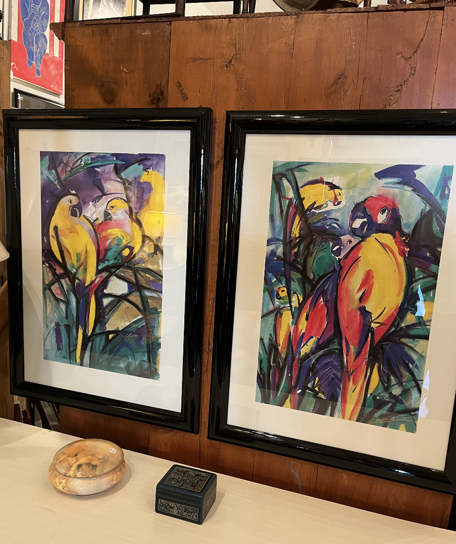 1980s Parrot Artwork