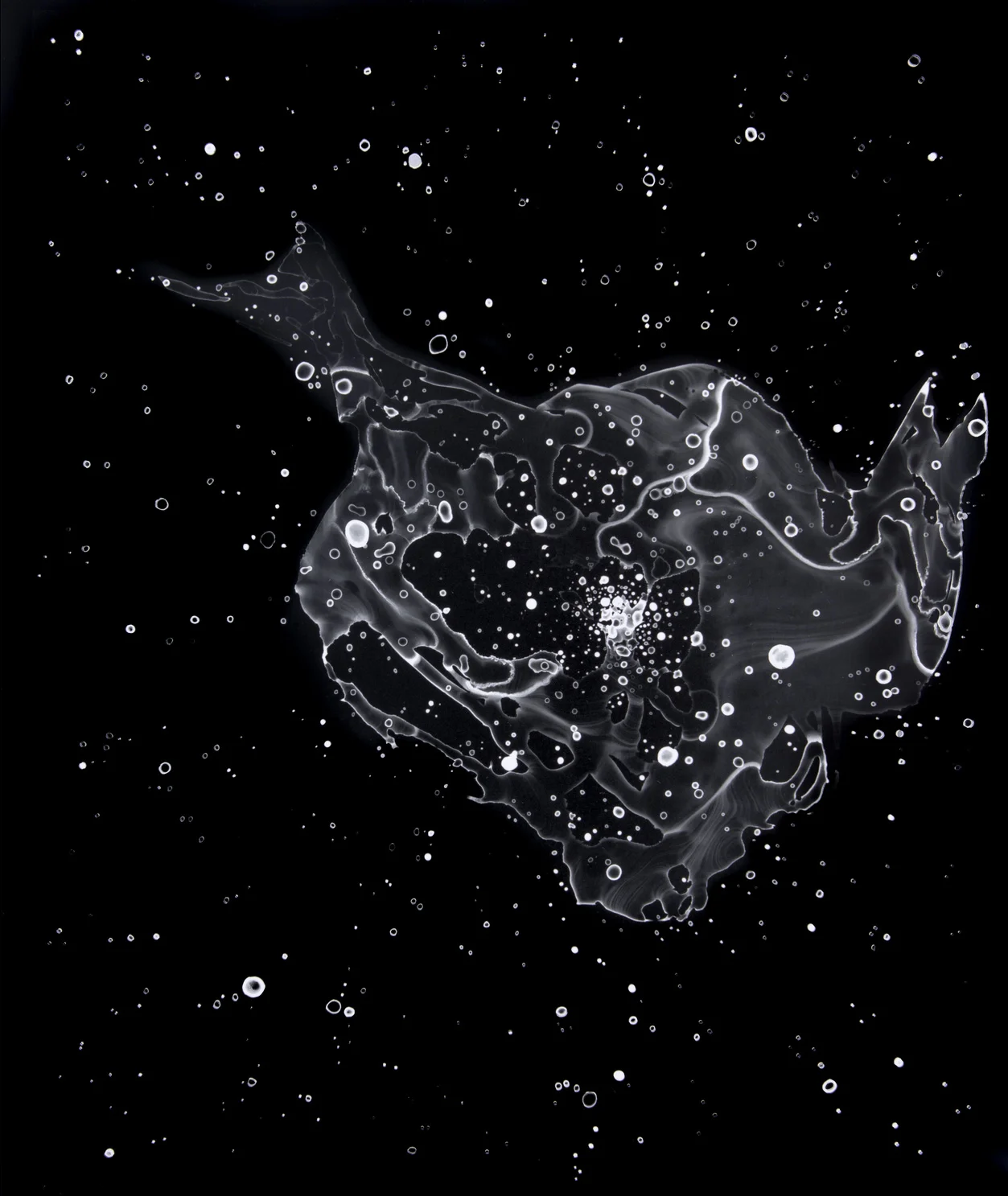 M8, 2013, cliché-verre, 17 x 14 inches
