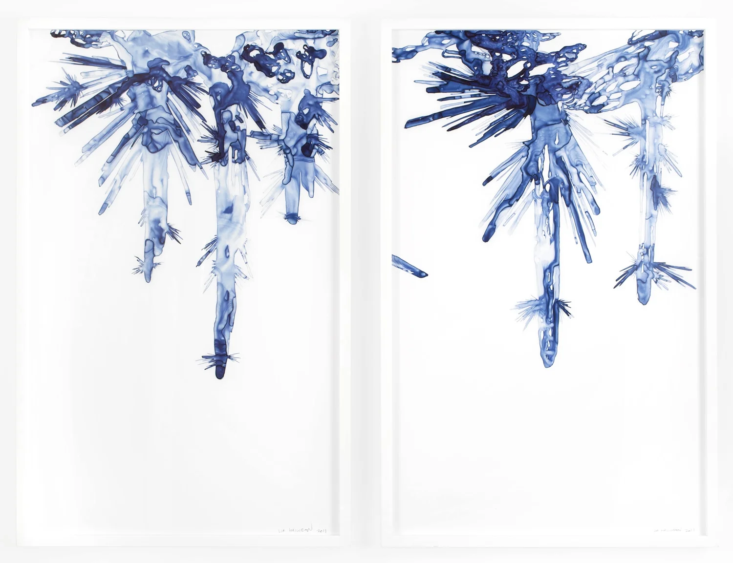Hanging Crystalline Forms I & II 2011 Ink on drafting film, 40 x 25 inches each