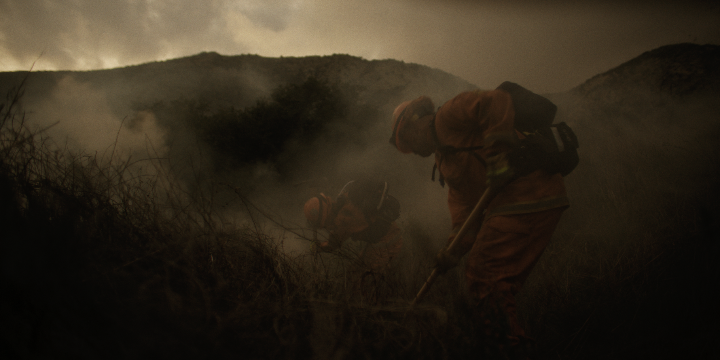 fireline_39.png