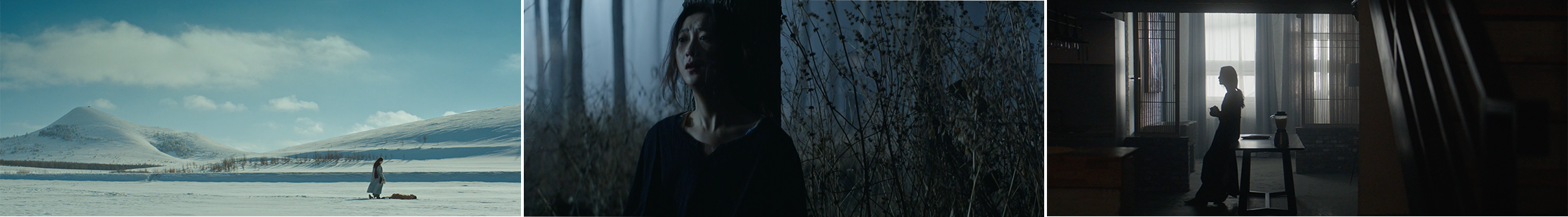 FATAL LOVE - Feature Film 