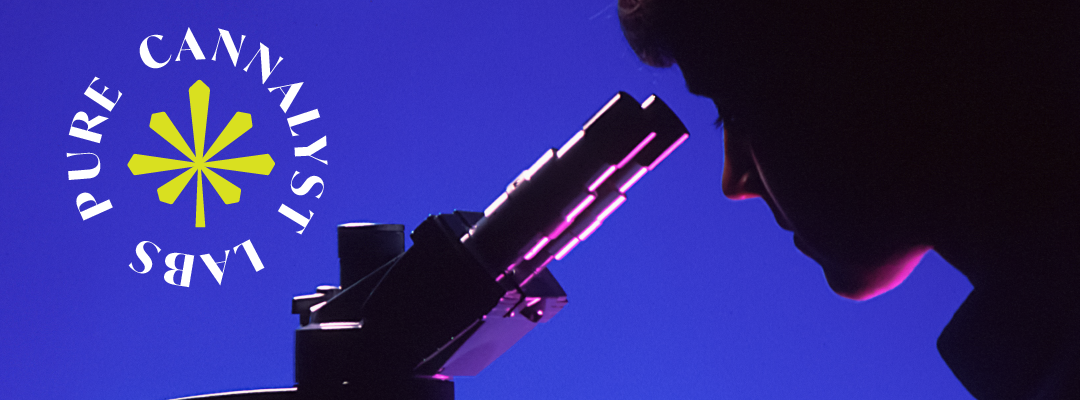 PCLHeader.png
