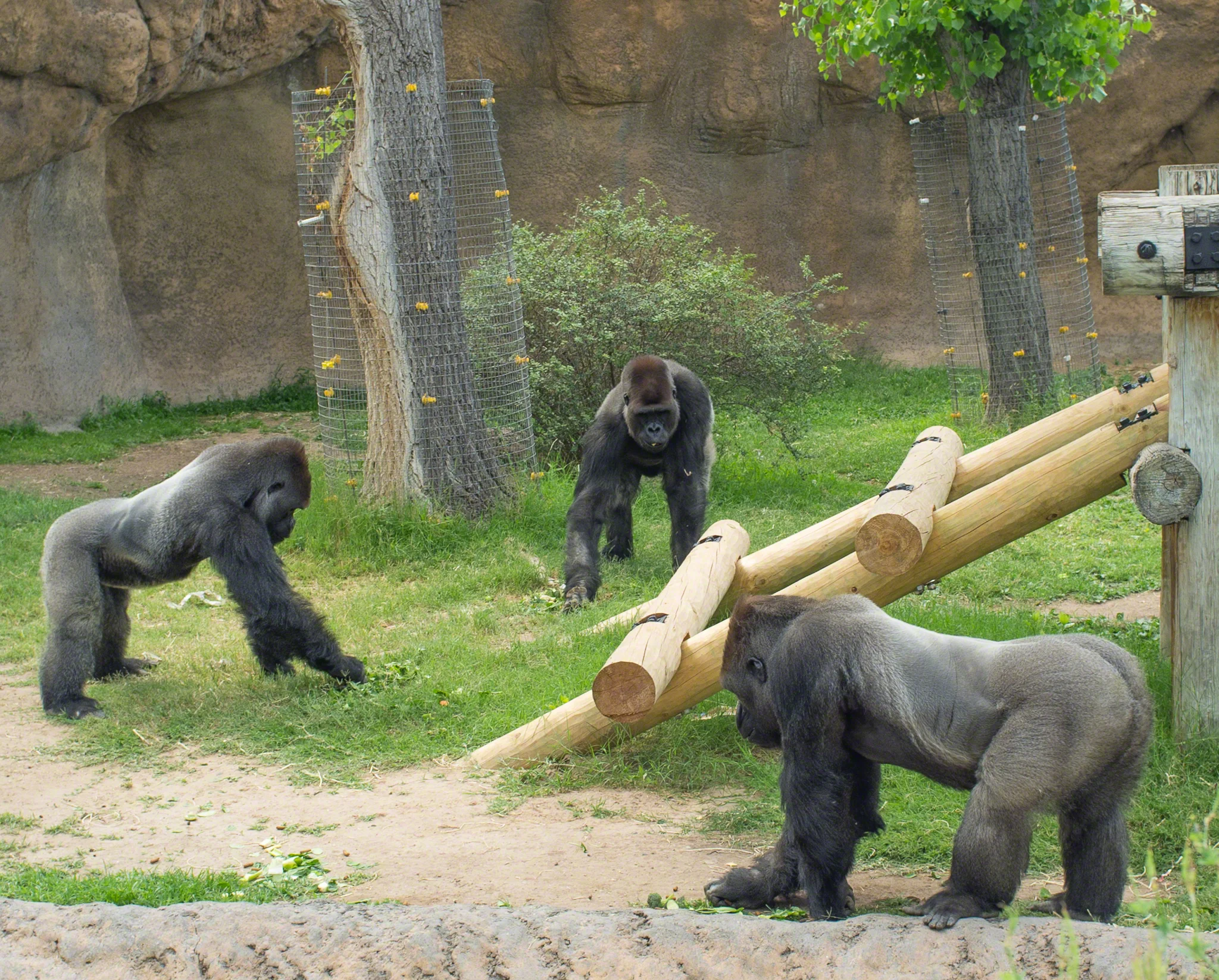 DSCF0858.jpg