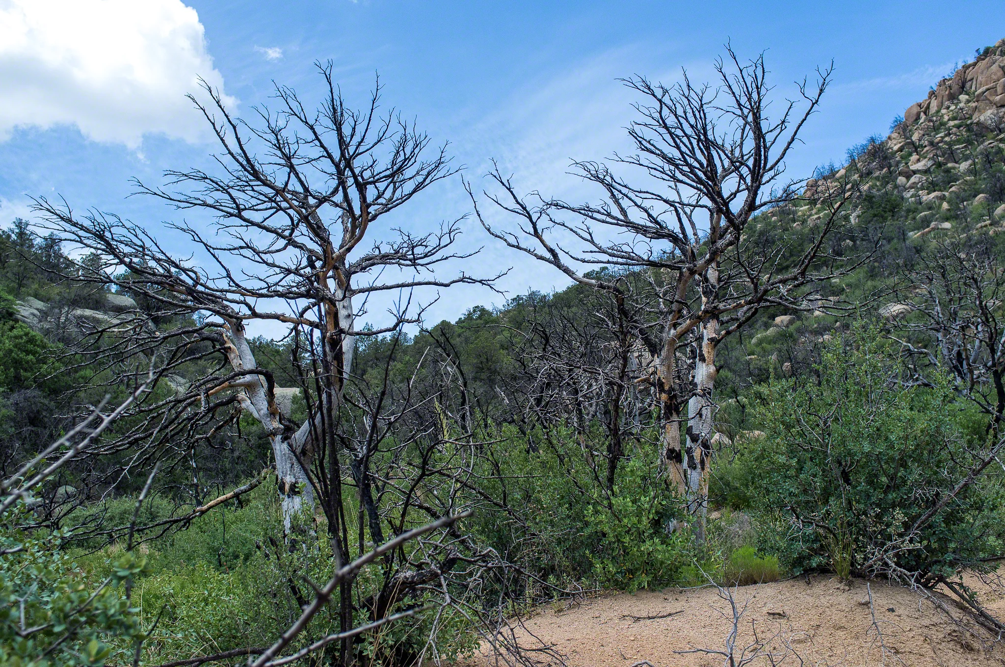 website_az_hiking-16.jpg