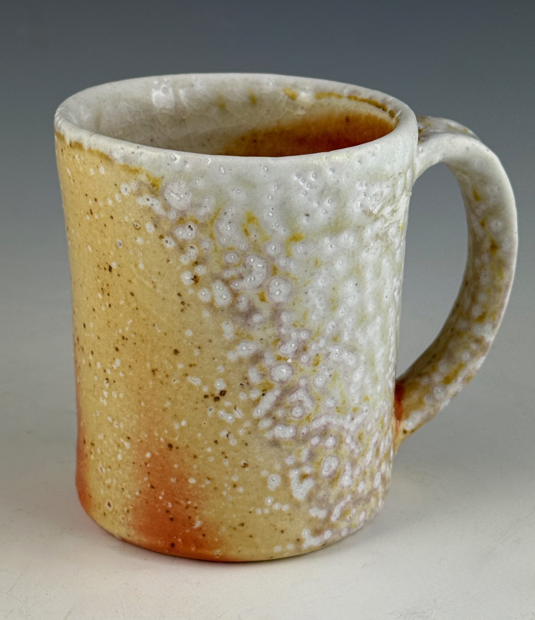 CAC-6 - Night To Day Mug - GN Legacy Ex - NCECA 2026.jpeg