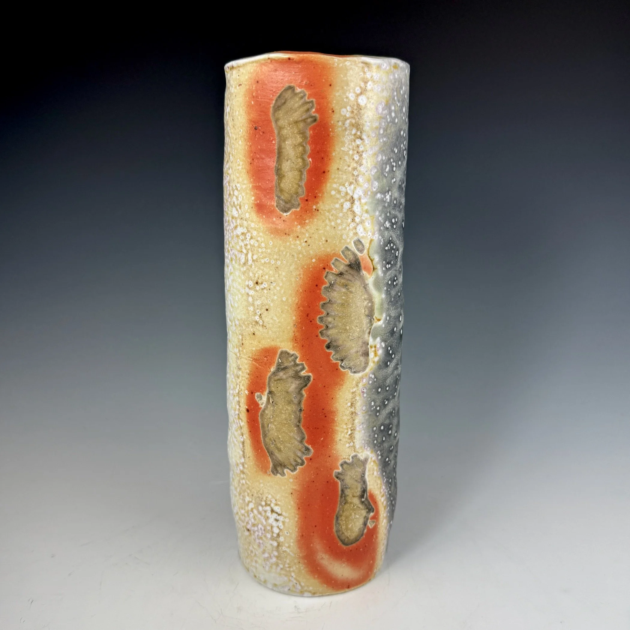 CAC-1 Four Vertical  Shelled Vase - for the GN exhibit.jpeg